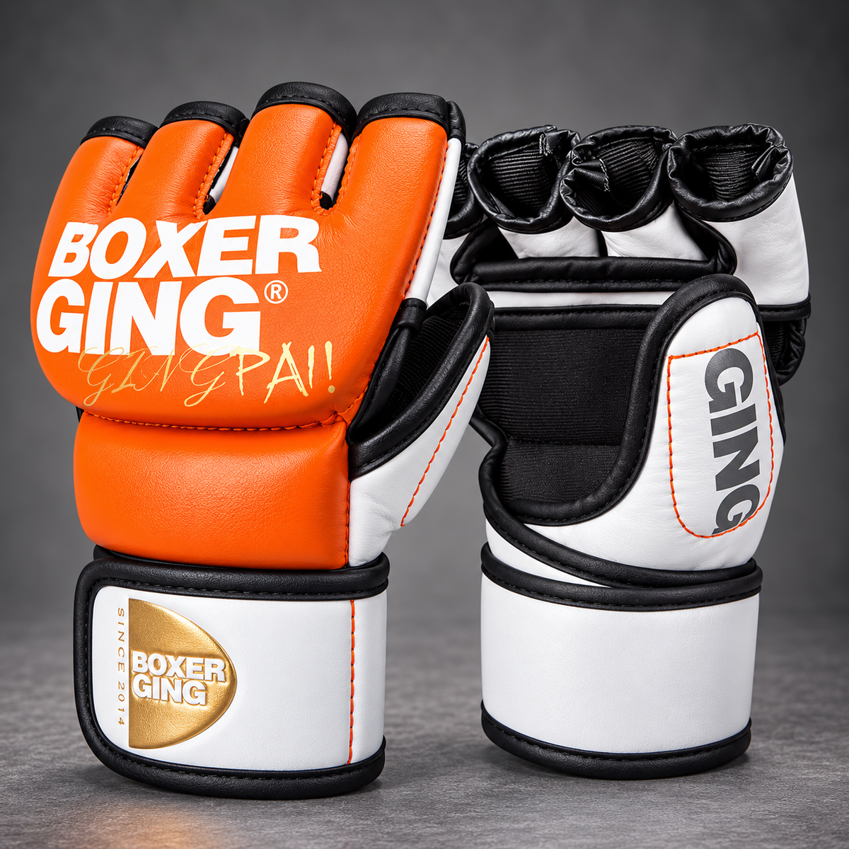 BOXERGING MMA Pro Gloves