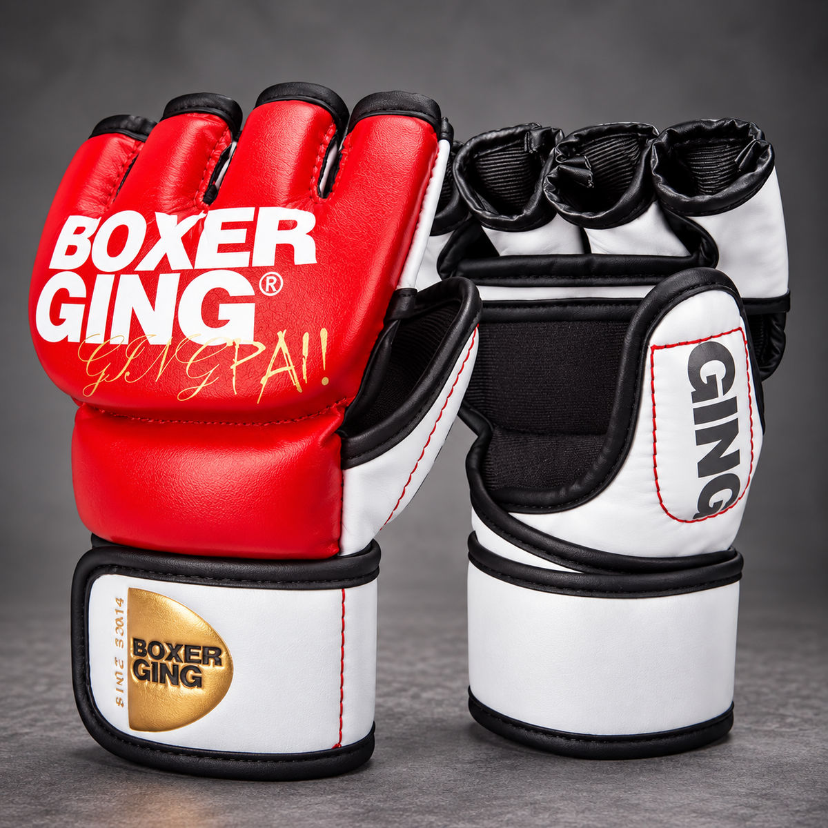 BOXERGING MMA Pro Gloves
