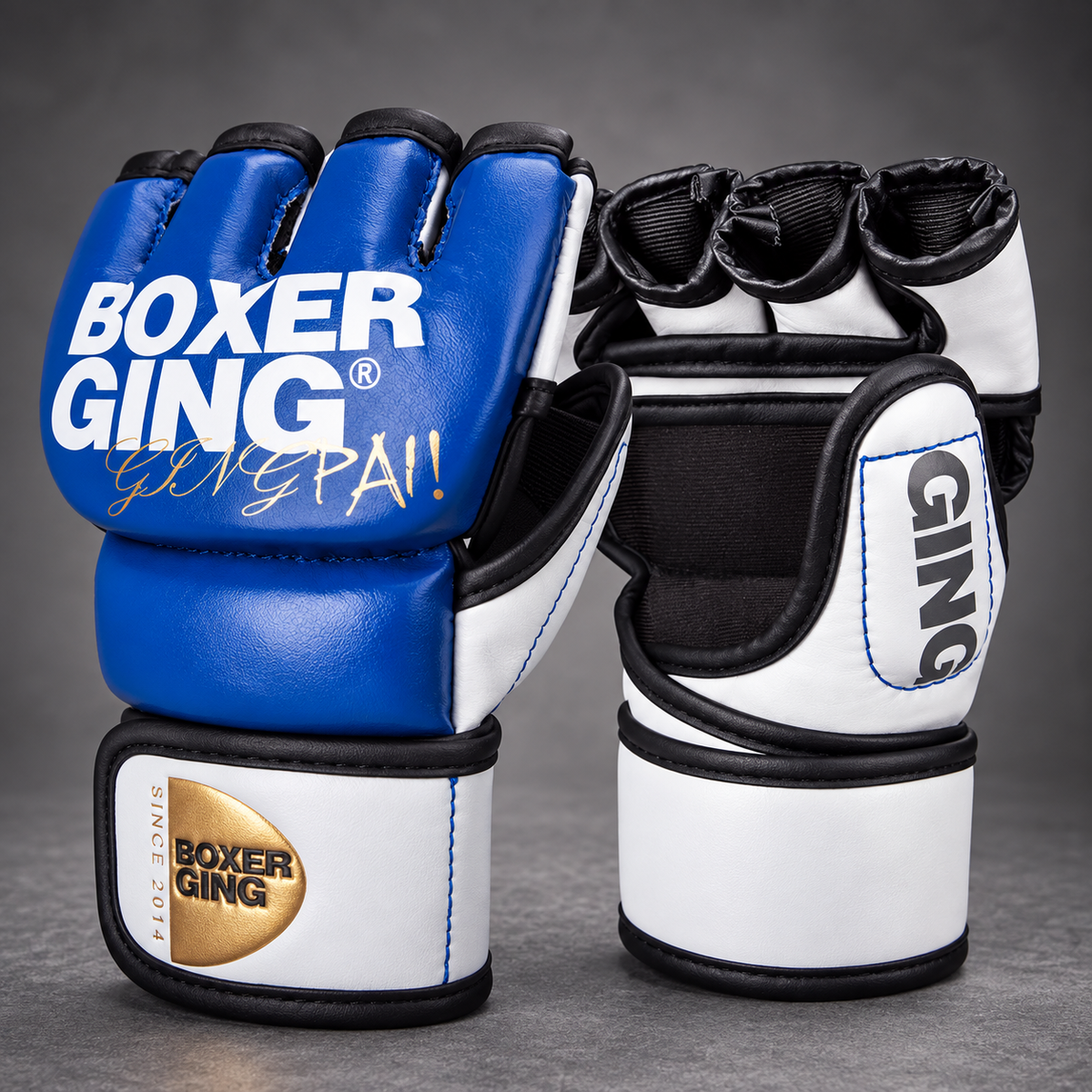 BOXERGING MMA Pro Gloves