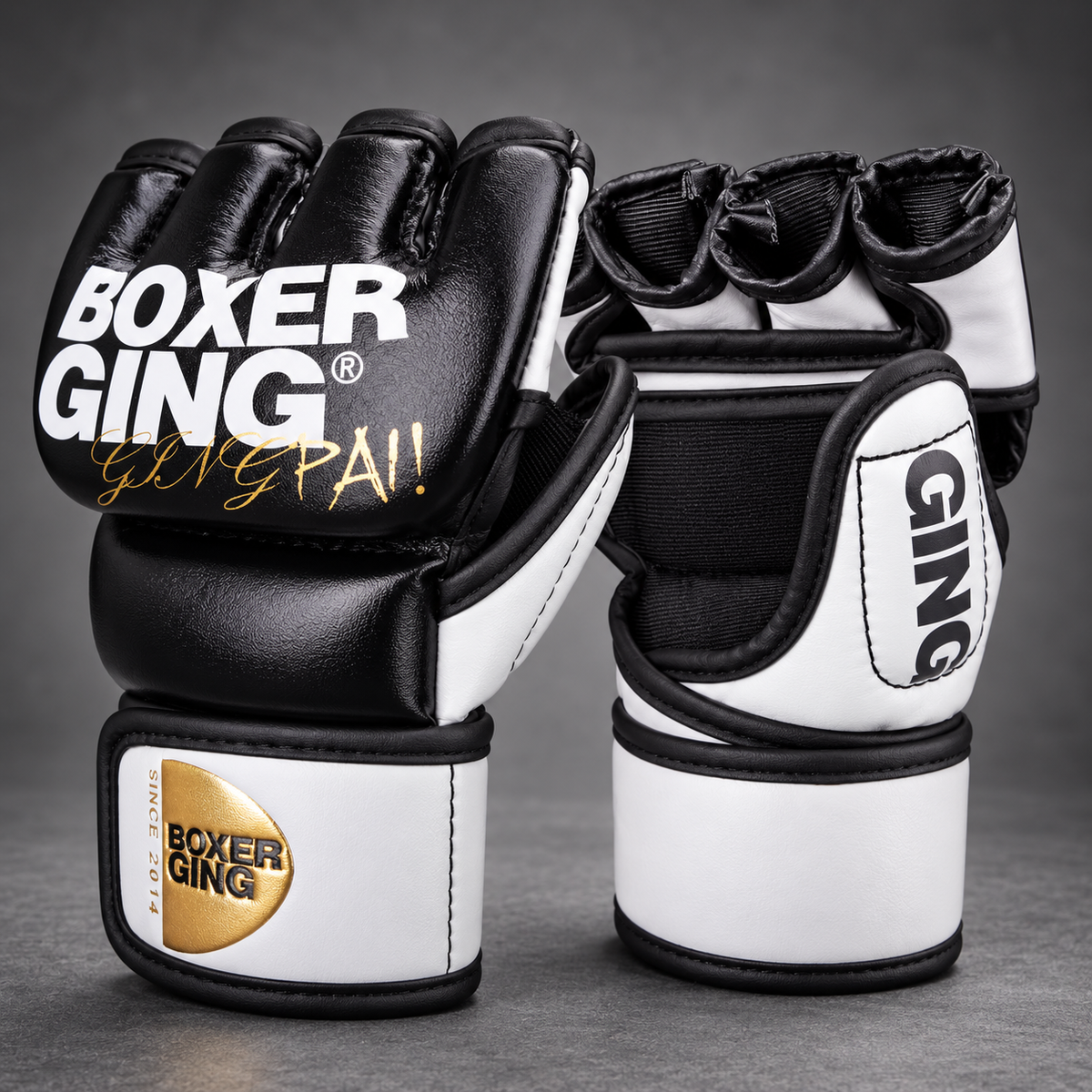 BOXERGING MMA Pro Gloves