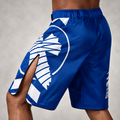 Hayabusa high-split MMA shorts